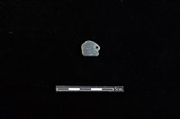 板岩片藏品圖，第1張